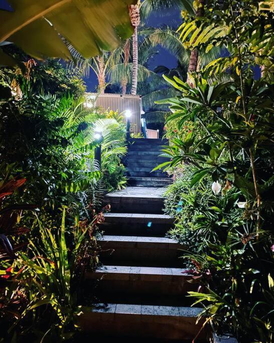 O Ruisseau Lodges - Lodge Cocotier Saint-Louis Ngoại thất bức ảnh